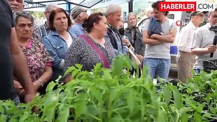 Ata tohumlarından fidanlar toprak ile buluşacak