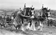 Bygone Days - Photos From the Farming Life archives from November 1980