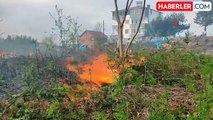 Giresun'da bitki örtüsü yangını korkuttu