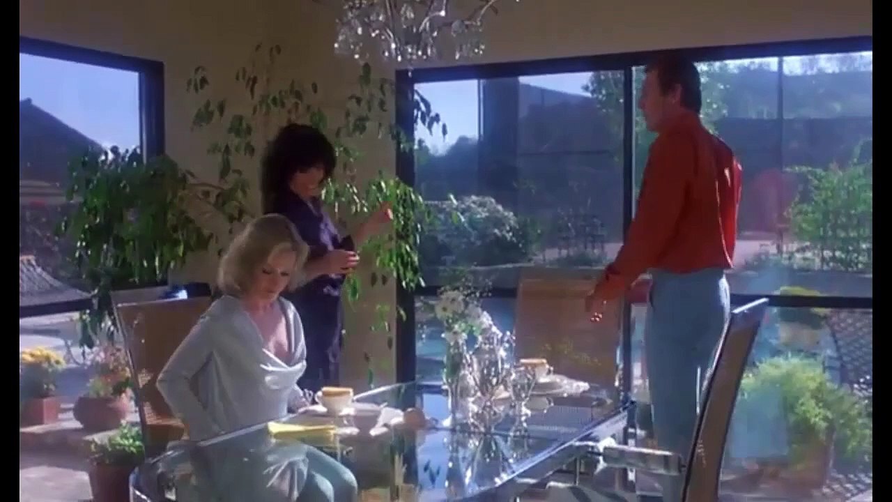 1975 The Happy Hooker Goes Hollywood  - Action Movie