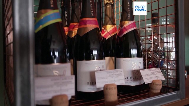 El Reino Unido redefine el vino ante la creciente demanda de bebidas sin alcohol