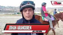 Hipismo: Johan Aranguren, Jinete Profesional.