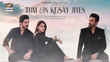 Tum Bin Kesay Jiyen Episode 48 _17_April_2024___ARY_Digital(360p)