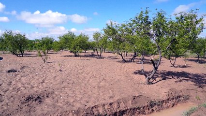 Número de mortos em enchentes no Afeganistão chega a 70