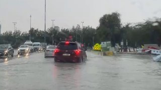 Video shows Tesla driving through flooded street in Dubai