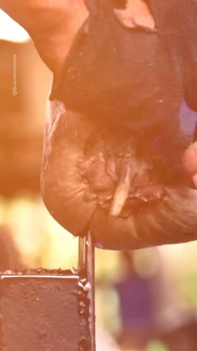 Abonne-toi pour suivre d’autres solutions positives !     @theimpactstory   Source : Fortuna Coolers   #innovation #inventions #noixdecoco #recyclable #secondemain