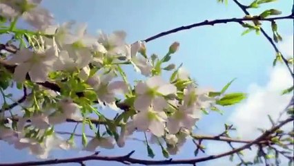 Ateizmi Anlamak - Aydın Türk