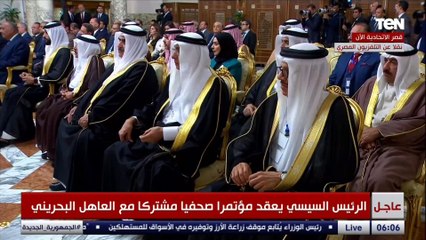 السيسي: لحظة فارقة سيتوقف أمامها التاريخ لما نشهده من استخدام القوة المفرطة وتجويع الفلسطينيين