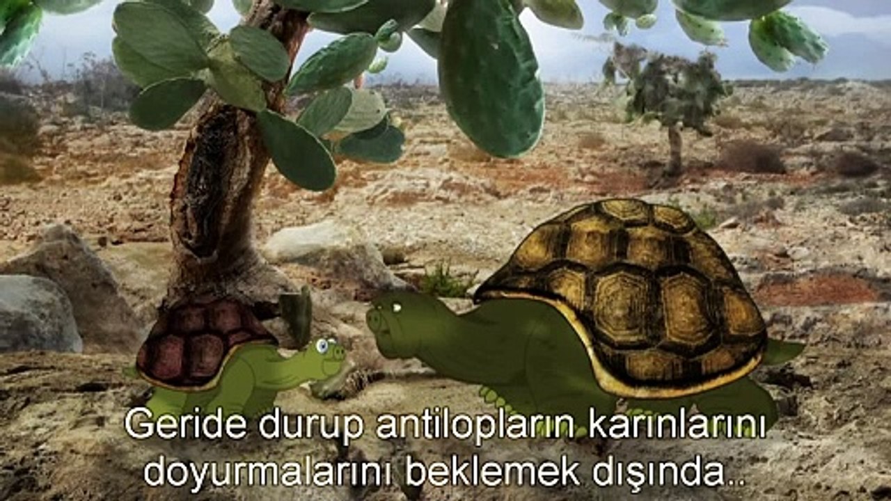 Zürafaların neden uzun boyunları var
