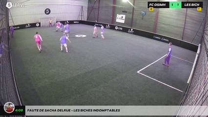 Faute de sacha delrue - Les Biches Indomptables