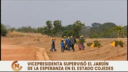 Video herunterladen: Vpdta. Delcy Rodríguez plantó el árbol N.º 1.000 en el “Jardín de la Esperanza” del edo. Cojedes