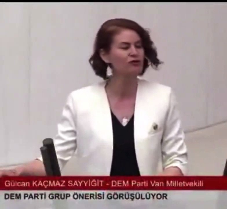 Vekil, Meclis'te "Kürtçe konuştu" ortalık karıştı
