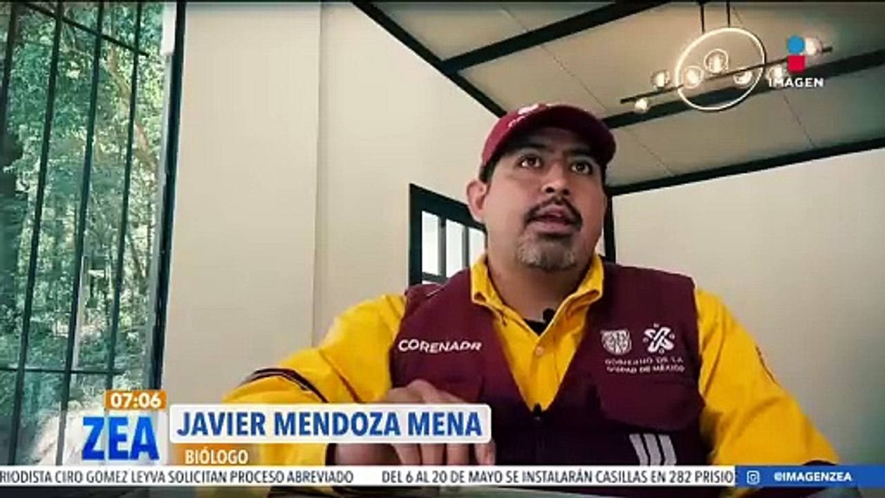 Incendios forestales, una amenaza grave para el ecosistema