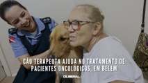 Cão terapeuta ajuda no tratamento de pacientes oncológicos, em Belém