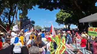 Manifestação servidores federais em Brasília