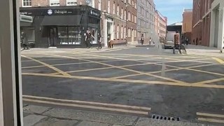 Alpacas Spotted Taking a Stroll Along Street in Dublin
