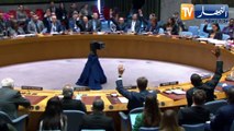 مجلس الأمن: جلسة للفصل في عضوية فلسطين.. المجلس في مواجهة الفيتو الأمريكي