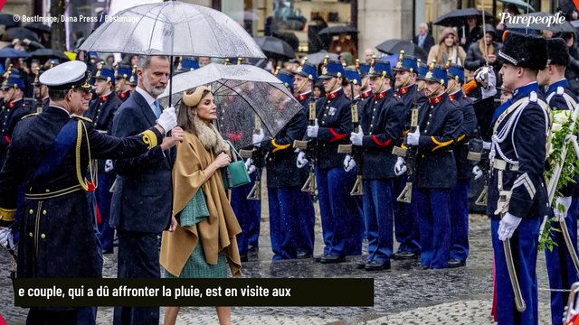 PHOTOS Letizia d'Espagne : Look ultra chic pour la reine en visite aux Pay-Bas, elle a opté pour un accessoire très original