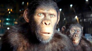 Hero Trailer for Kingdom of the Planet of the Apes