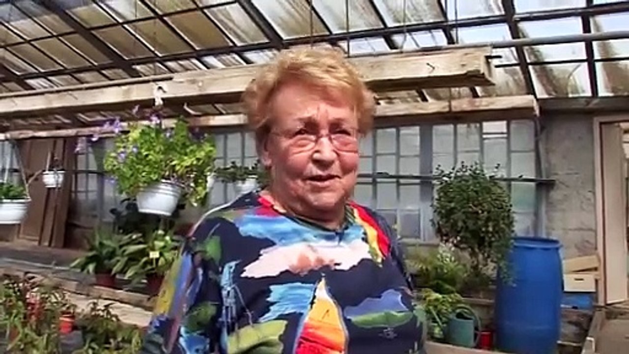 La tendance des maisons insolites