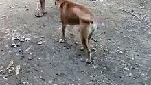 laro muna sila