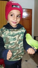 Brave Kid playing with parrot #viral #trending #foryou #reels #beautiful #love #funny #delicious #fun #love #yummy