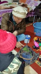 Opening a parrot cage #viral #trending #foryou #reels #beautiful #love #funny #delicious #fun #love #yummy