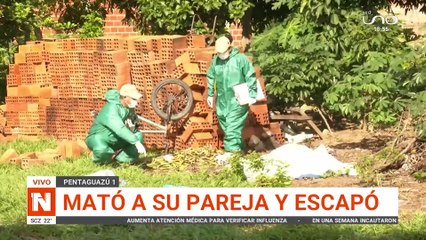 Mató a su pareja y escapó