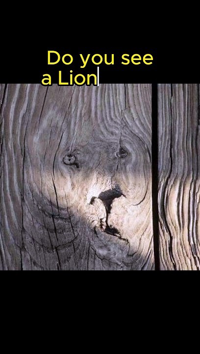 Seeing Faces in Everyday Objects - Part 4 #pareidolia