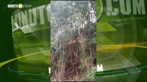 Atención: Bomberos de La Estrella y Caldas combaten incendio forestal en Monteazul