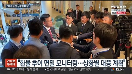 최상목 부총리 "환율 상승 상황별 대응"…추경엔 회의론