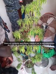 Kaolack-Dakar: 28 individus interpellés et de la drogue saisie par la gendarmerie