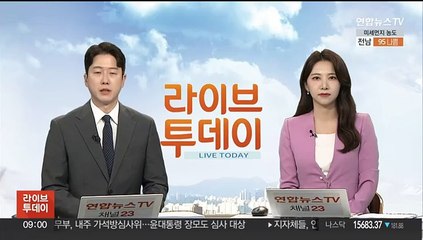 쿠웨이트 도피 30억대 사기범 12년 만에 강제송환