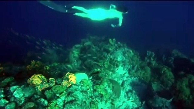 TRINBAGONIAN TARGETS FREEDIVING RECORD