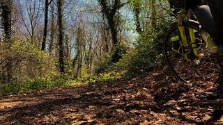 Camping 24 hours alone in the woods by bike