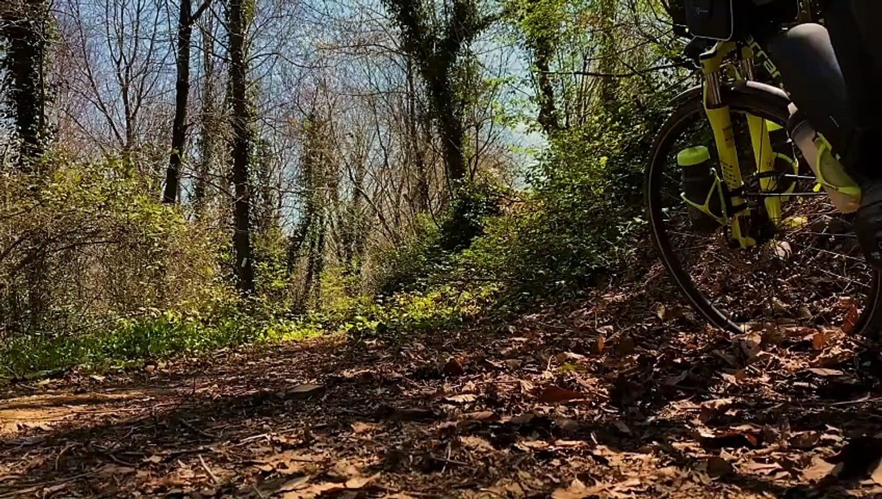 Camping 24 hours alone in the woods by bike