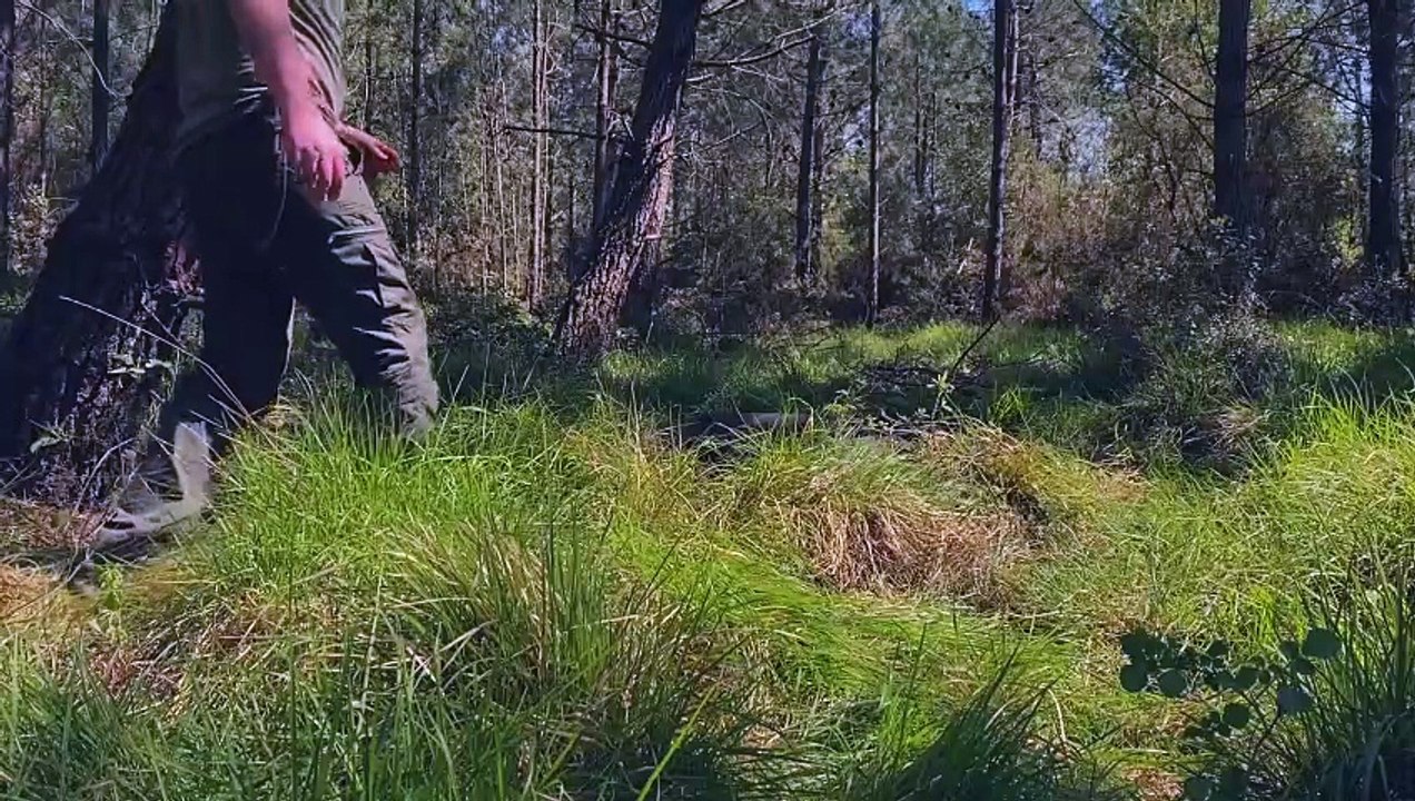 Camp alone, fish, build a campfire and camp out for dinner every day in the middle of nature