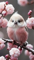 Red Happy Navratri Festival Greeting Mobile Video