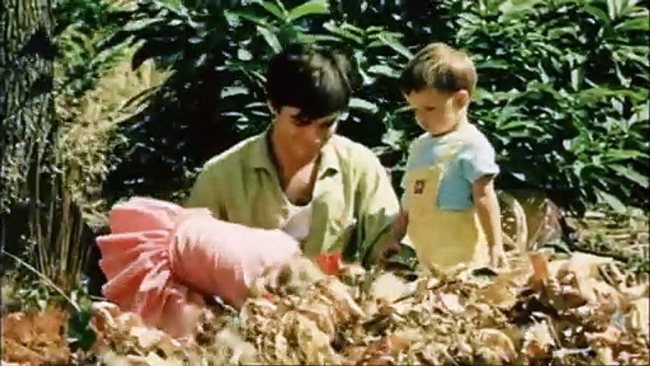 Le Bonheur - Tráiler oficial