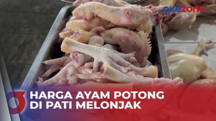 Harga Ayam Potong di Pati Melonjak Capai Rp45 Ribu per Kg