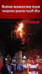 सोलापुरातील मुरारजी पेठ परिसरात झाडावर कोसळली वीज