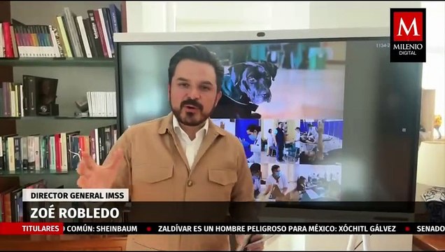 Perrito es nombrado como embajador de Donación Altruista de Sangre | ¿Qué hicimos? con Zoé Robledo