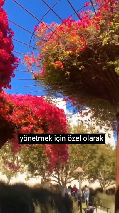 Her bayi tipine uygun B2B yazılımı