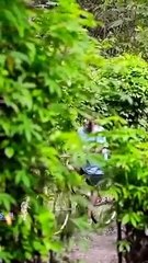 Makane, dadi uwong ojo gampang suudzon... __ woko channel