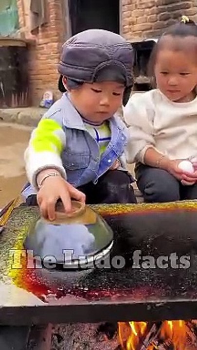 चीकू Burger  बना ही लिया ♥️ ~ the Ludo facts_ #shorts