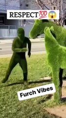 Respect, Fruch Vibes #shorts #shortvideo #video #virals #videoviral #innovationhub