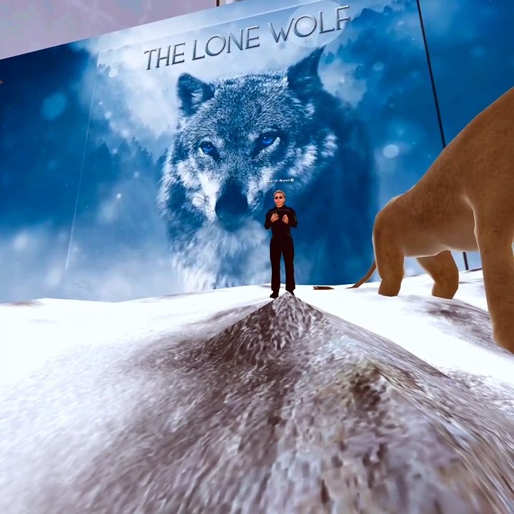 I am a Lone Wolf.