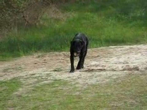 MVI_4369 Porto Appolon