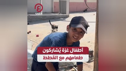 أطفال غزة يُشاركون طعامهم مع القطط
