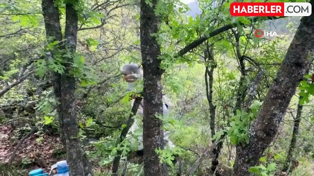 Bursa'da mağarada define faciası: 1 kişi öldü, mahsur kalanları kurtarma çalışmaları sürüyor